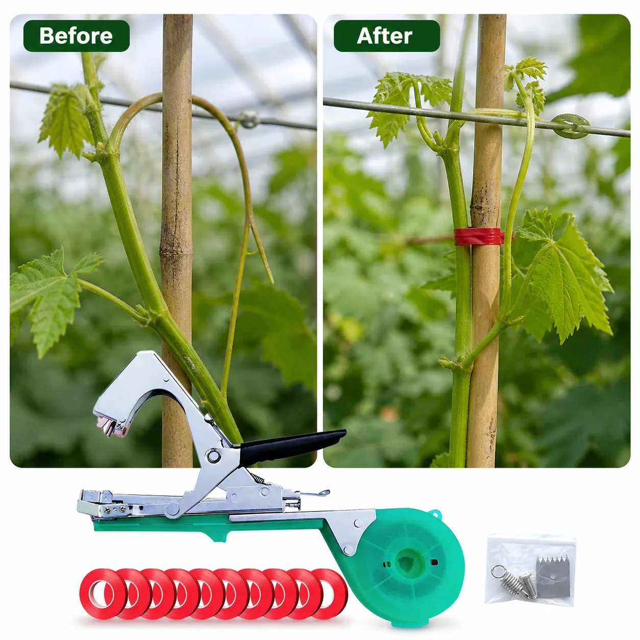 Plant Tapener Tying Tool setup and use views